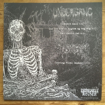 SPECTRAL VOICE / UNDERGANG Split LP BLACK [VINYL 12